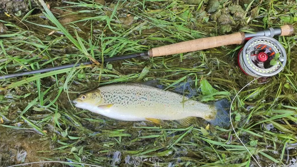 Bosnia fly fishing Neretva