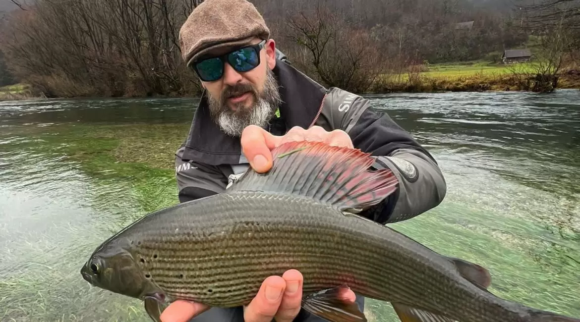 grayling fly fishing