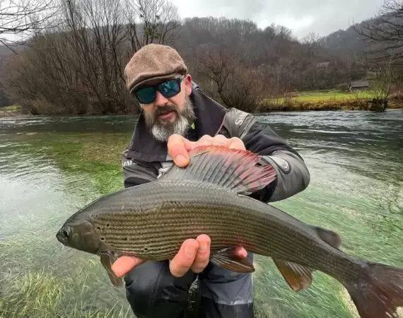 grayling fly fishing